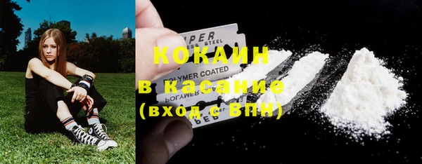 индика Алексеевка