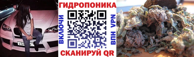 гидра ONION  Калачинск  Конопля SATIVA & INDICA 